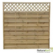 Kerítéselem Olga egyenes